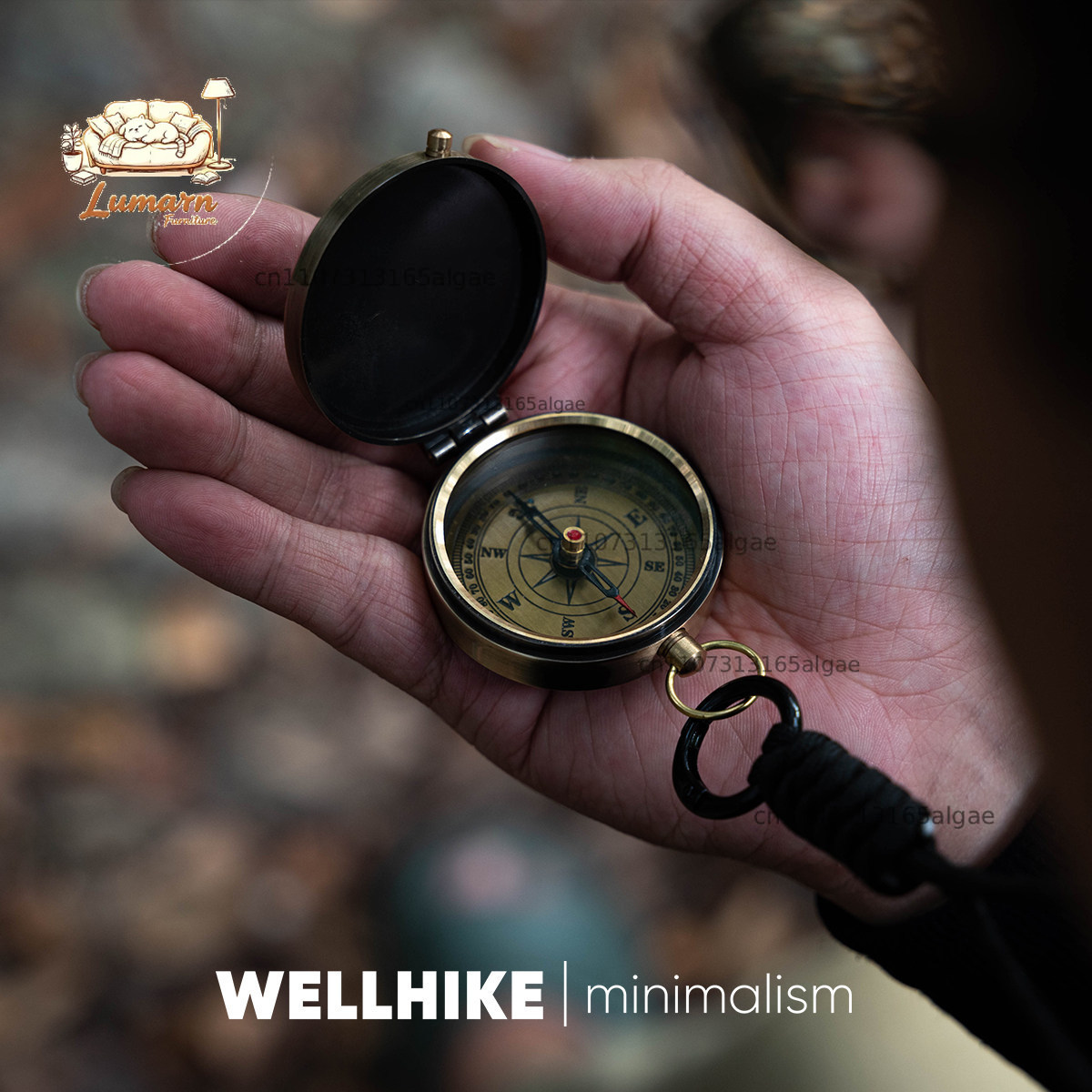 WELLHIKE Collector's Edition D - огляд і ціна Outdoor Adventure Japan